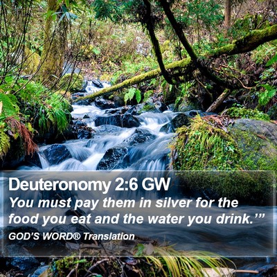 Deuteronomy 2:6 GW Bible Verse Image