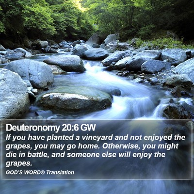 Deuteronomy 20:6 GW Bible Verse Image