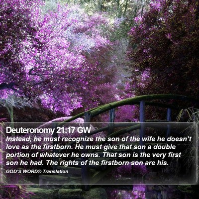 Deuteronomy 21:17 GW Bible Verse Image