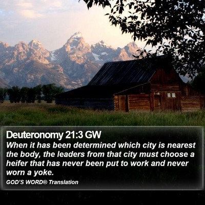Deuteronomy 21:3 GW Bible Verse Image