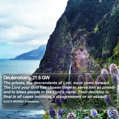 Deuteronomy 21:5 GW Bible Verse Image