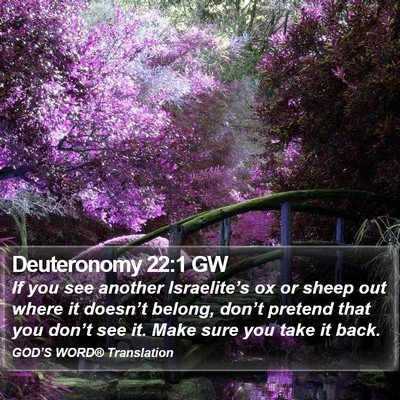 Deuteronomy 22:1 GW Bible Verse Image