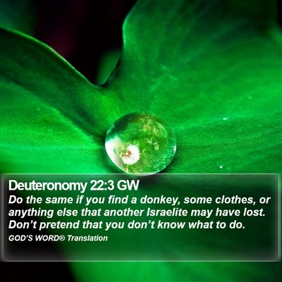Deuteronomy 22:3 GW Bible Verse Image