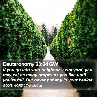 Deuteronomy 23:24 GW Bible Verse Image