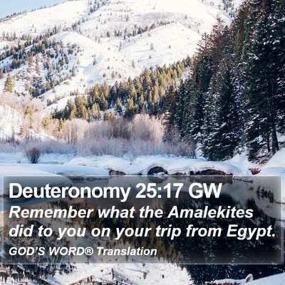 Deuteronomy 25:17 GW Bible Verse Image