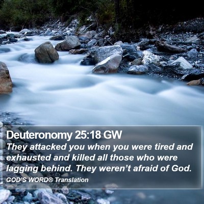Deuteronomy 25:18 GW Bible Verse Image