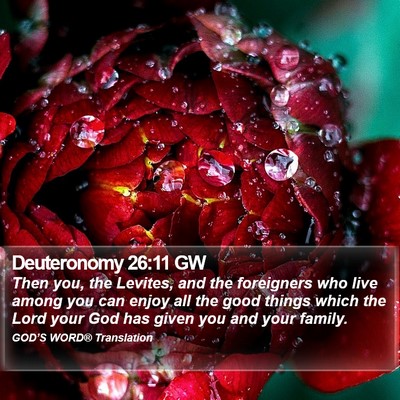 Deuteronomy 26:11 GW Bible Verse Image