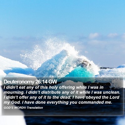 Deuteronomy 26:14 GW Bible Verse Image
