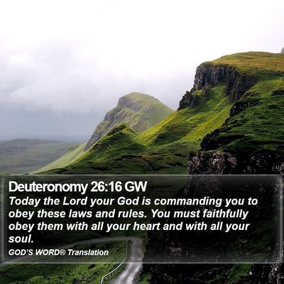 Deuteronomy 26:16 GW Bible Verse Image