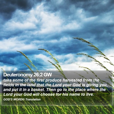 Deuteronomy 26:2 GW Bible Verse Image