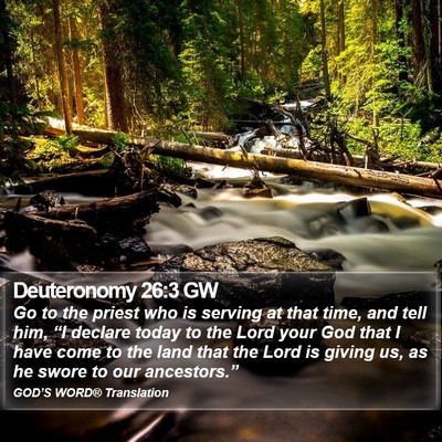 Deuteronomy 26:3 GW Bible Verse Image