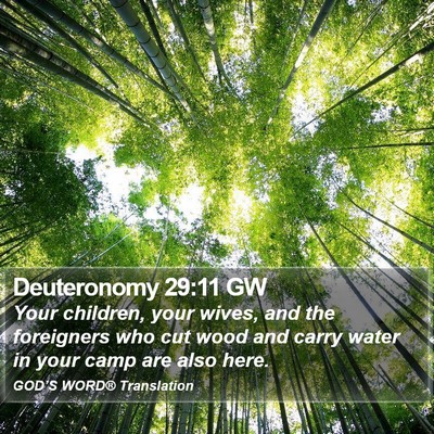 Deuteronomy 29:11 GW Bible Verse Image