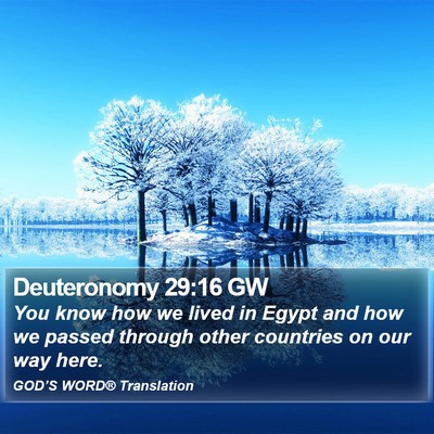 Deuteronomy 29:16 GW Bible Verse Image
