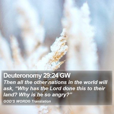 Deuteronomy 29:24 GW Bible Verse Image