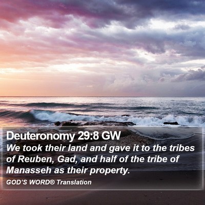 Deuteronomy 29:8 GW Bible Verse Image