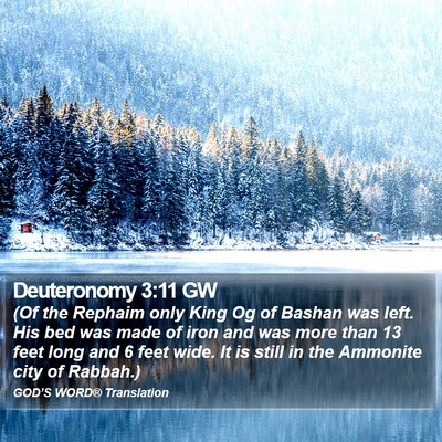 Deuteronomy 3:11 GW Bible Verse Image
