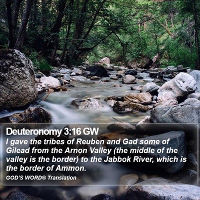 Deuteronomy 3:16 GW Bible Verse Image