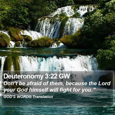 Deuteronomy 3:22 GW Bible Verse Image