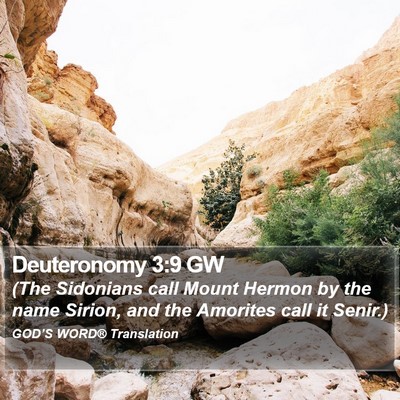 Deuteronomy 3:9 GW Bible Verse Image