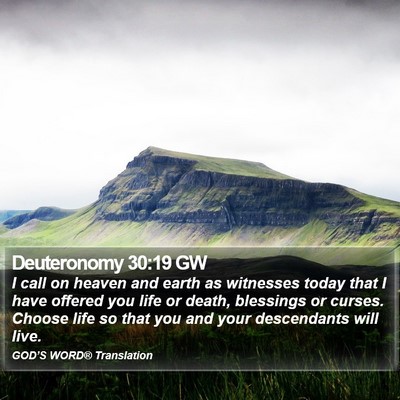 Deuteronomy 30:19 GW Bible Verse Image