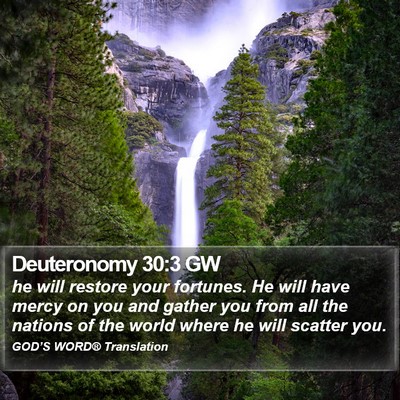Deuteronomy 30:3 GW Bible Verse Image