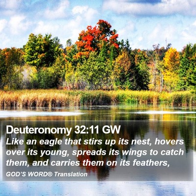 Deuteronomy 32:11 GW Bible Verse Image
