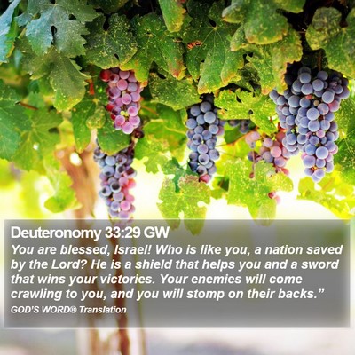 Deuteronomy 33:29 GW Bible Verse Image