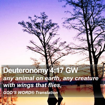Deuteronomy 4:17 GW Bible Verse Image