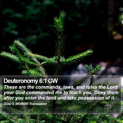 Deuteronomy 6:1 GW Bible Verse Image