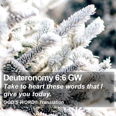 Deuteronomy 6:6 GW Bible Verse Image