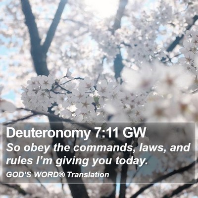 Deuteronomy 7:11 GW Bible Verse Image