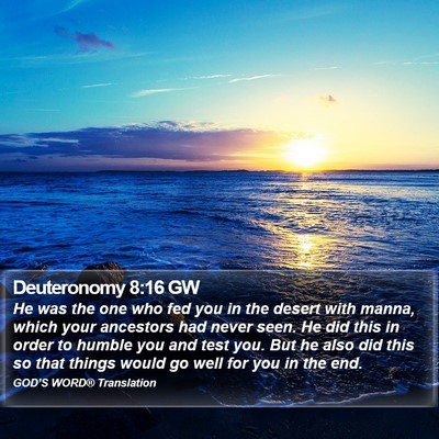 Deuteronomy 8:16 GW Bible Verse Image