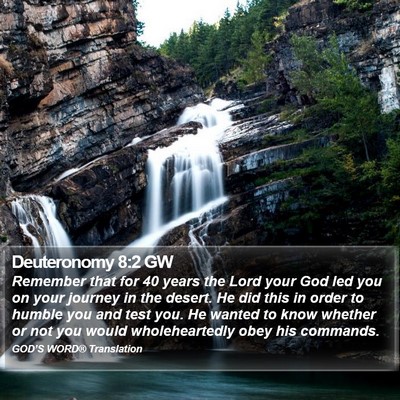 Deuteronomy 8:2 GW Bible Verse Image