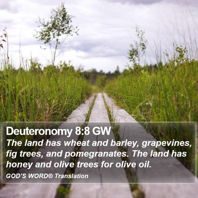 Deuteronomy 8:8 GW Bible Verse Image