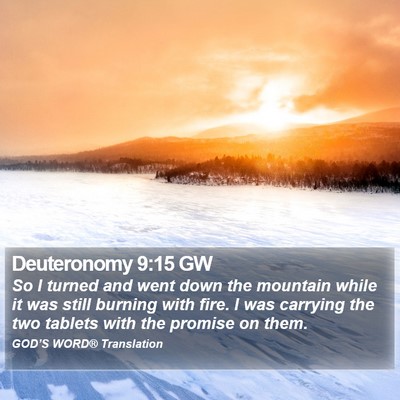 Deuteronomy 9:15 GW Bible Verse Image