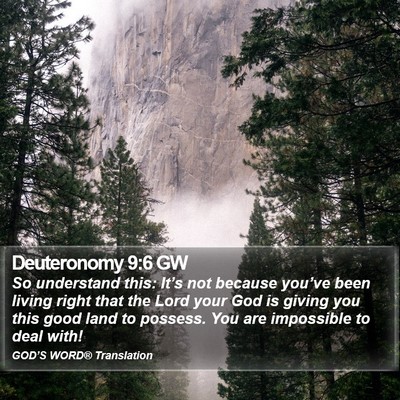 Deuteronomy 9:6 GW Bible Verse Image