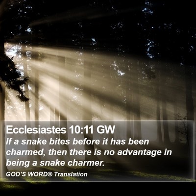 Ecclesiastes 10:11 GW Bible Verse Image