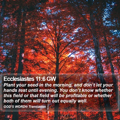 Ecclesiastes 11:6 GW Bible Verse Image