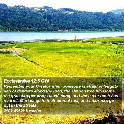 Ecclesiastes 12:5 GW Bible Verse Image