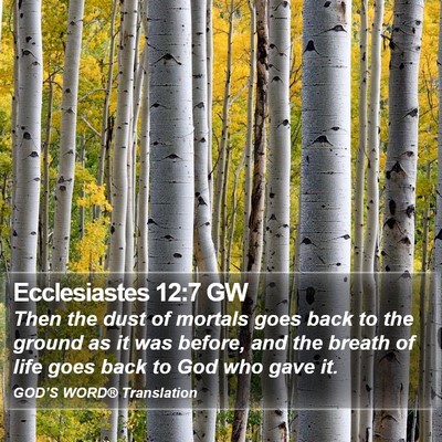 Ecclesiastes 12:7 GW Bible Verse Image