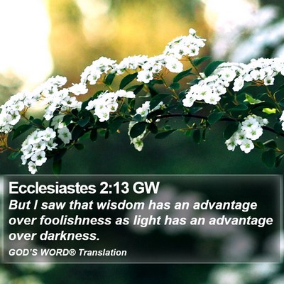 Ecclesiastes 2:13 GW Bible Verse Image
