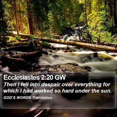 Ecclesiastes 2:20 GW Bible Verse Image