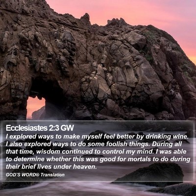 Ecclesiastes 2:3 GW Bible Verse Image