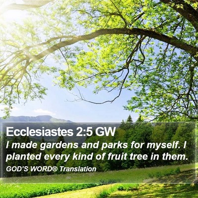 Ecclesiastes 2:5 GW Bible Verse Image