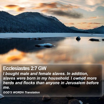 Ecclesiastes 2:7 GW Bible Verse Image
