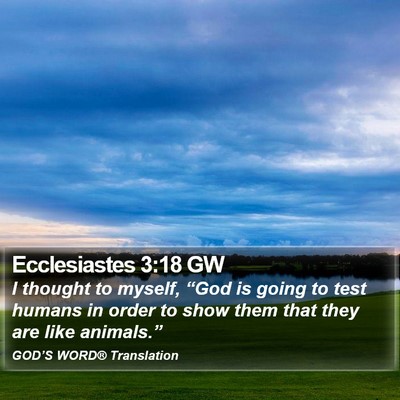 Ecclesiastes 3:18 GW Bible Verse Image