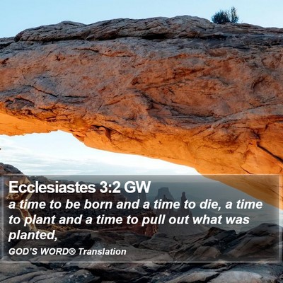 Ecclesiastes 3:2 GW Bible Verse Image
