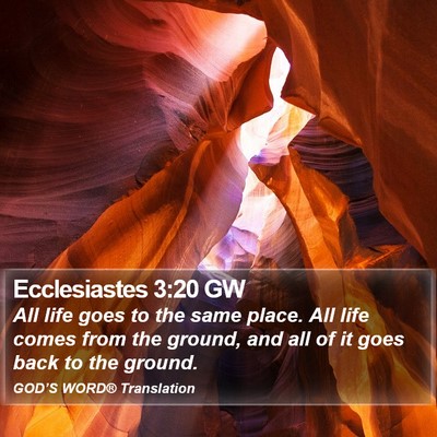 Ecclesiastes 3:20 GW Bible Verse Image