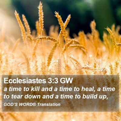 Ecclesiastes 3:3 GW Bible Verse Image