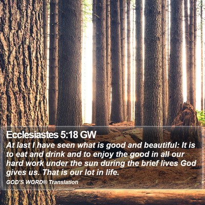 Ecclesiastes 5:18 GW Bible Verse Image